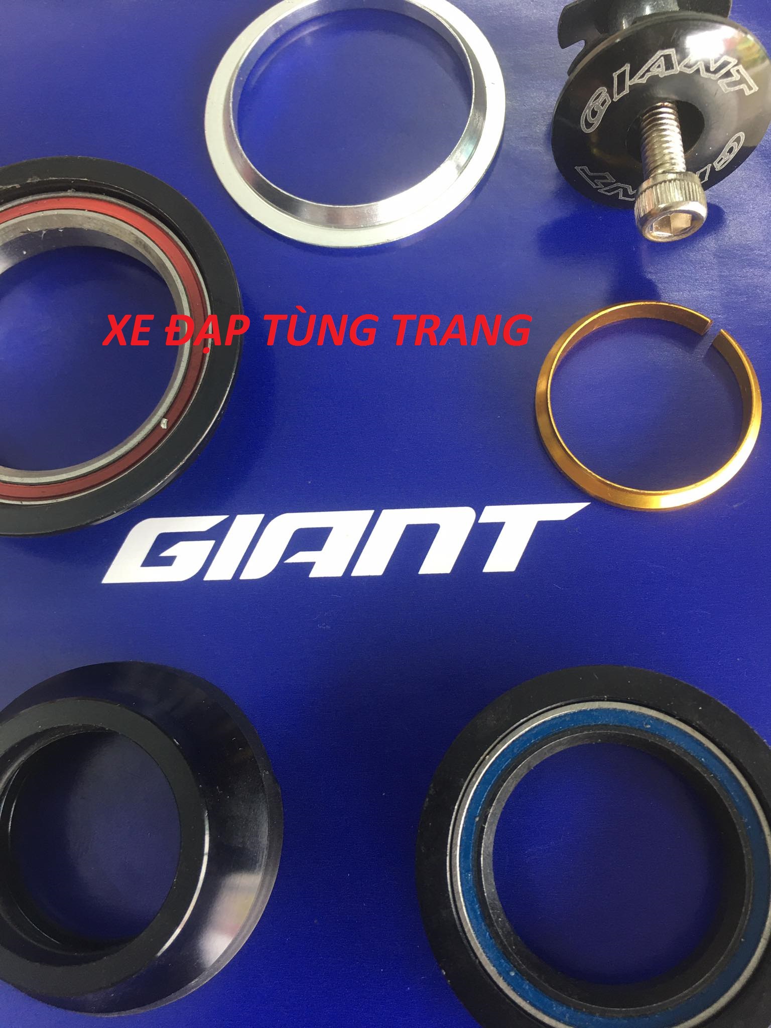 Bát chén xe đạp cổ thả Bạc Đạn GIANT 44mm/55mm .