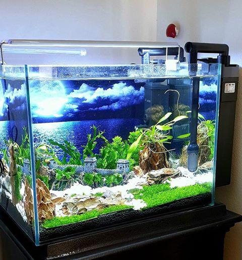 Đèn led máng 40cm