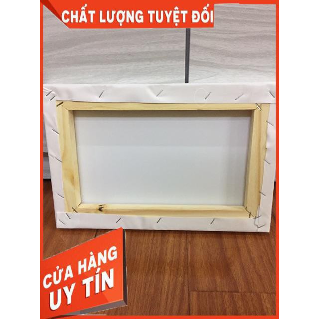 Combo 10 chiếc Toan tranh 20x30