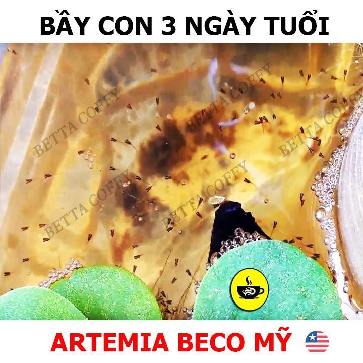Cám CC Red Thức ăn cho cá BETTA và GUPPY