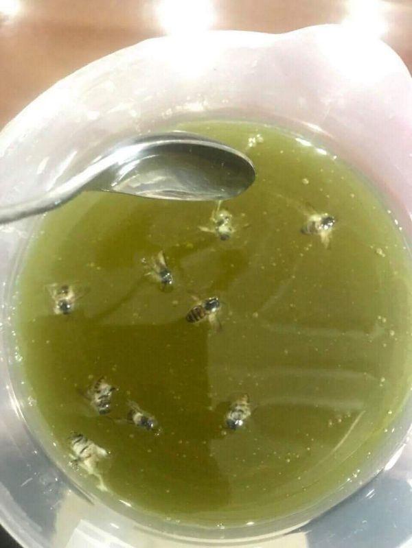 Mật ong bạc hà 1l