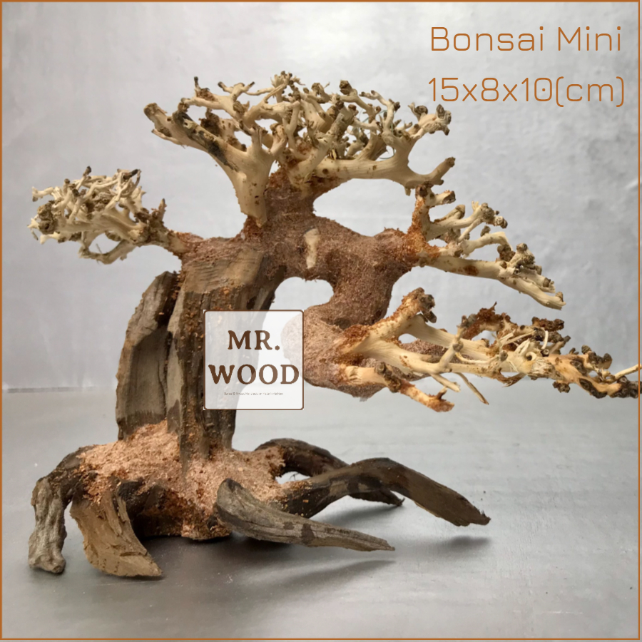 Lũa Bonsai mini cho hồ thủy sinh - Xưởng Lũa Mr Wood