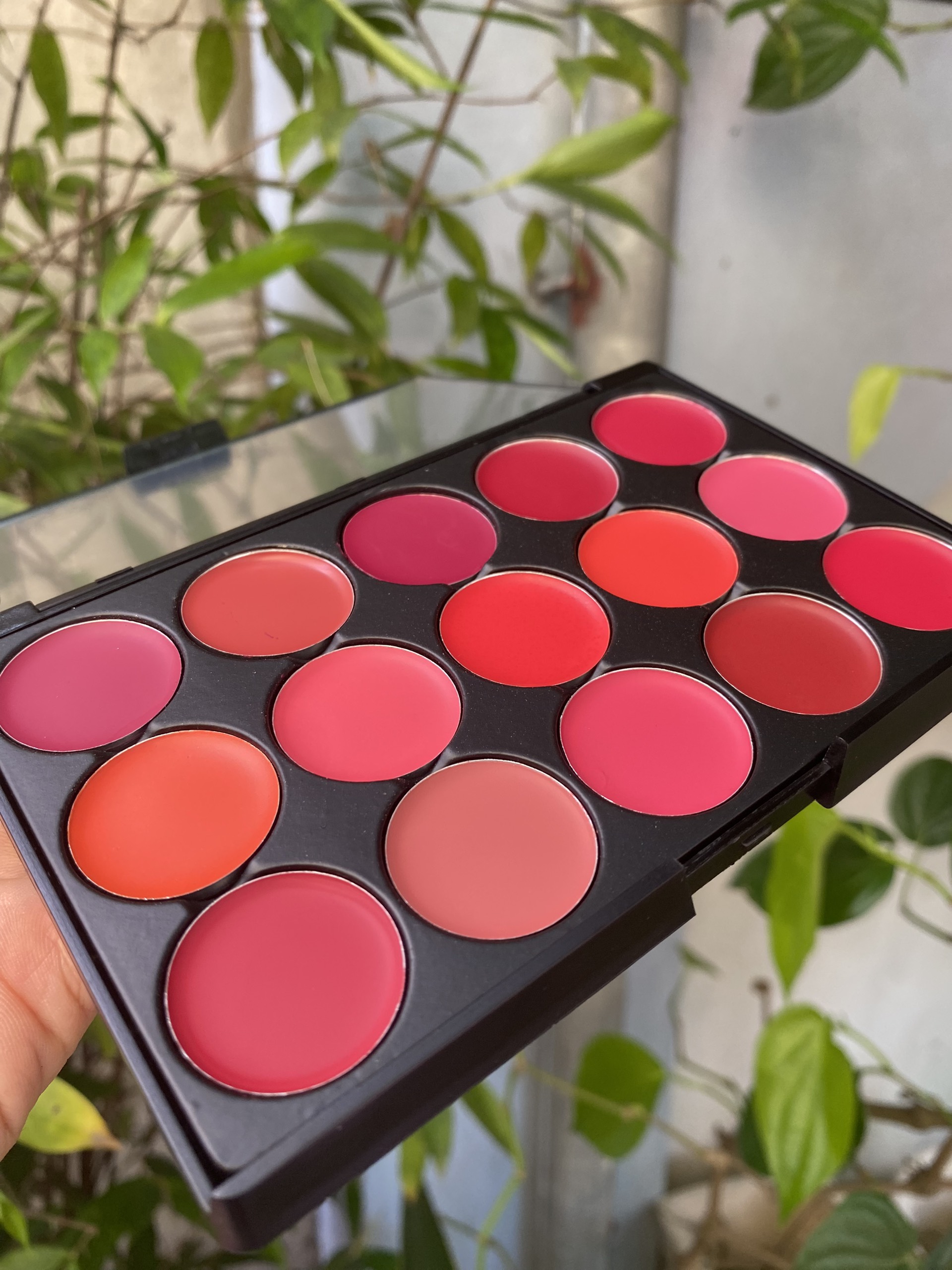 Bảng Son Lì Trang Điểm Miss Rose 15 ( nội địa Trung )