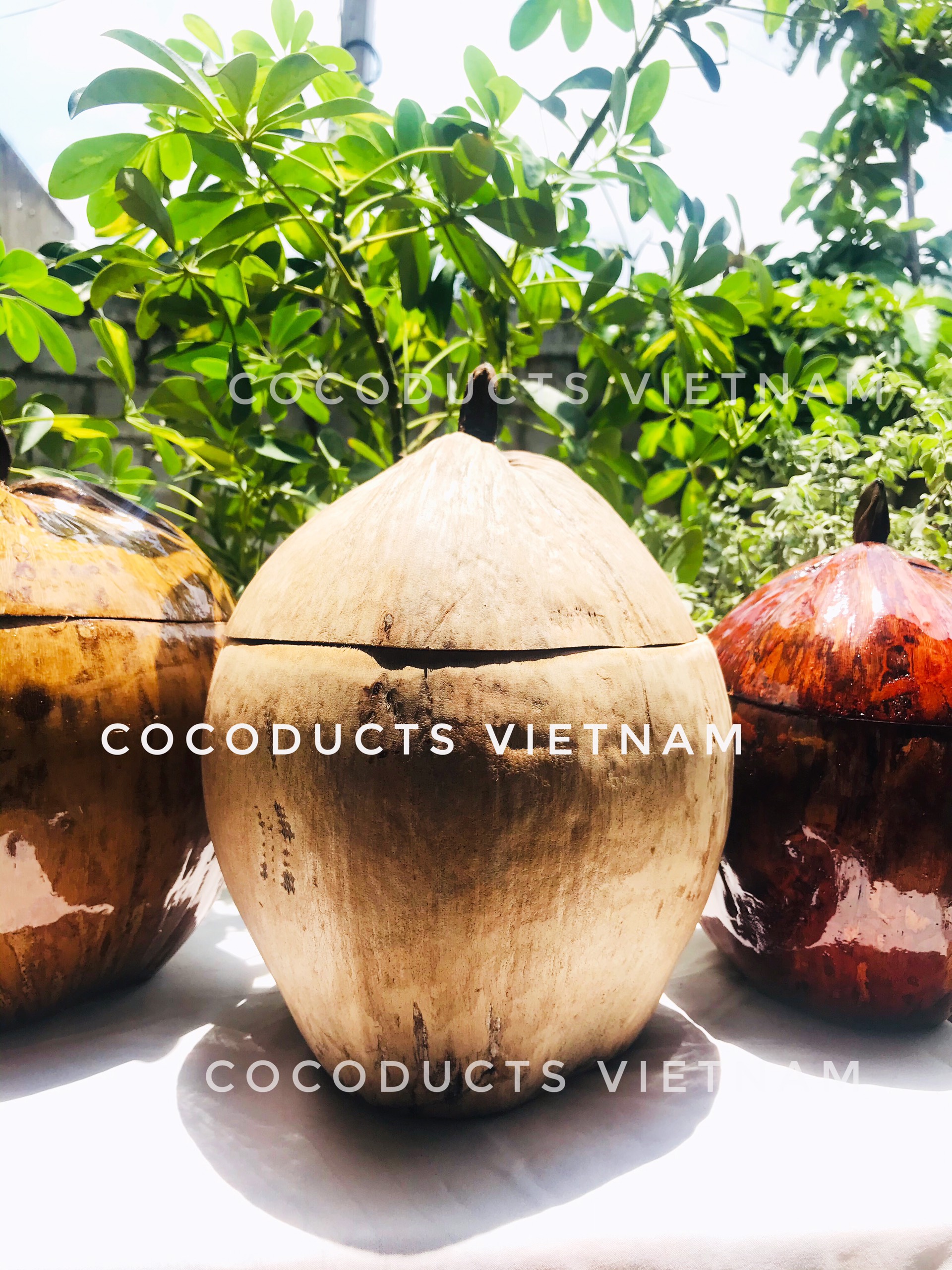 [HCM]Vỏ bình trà gáo dừa truyền thống