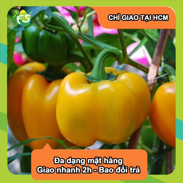 [Chỉ Giao HCM] Ớt Chuông Vàng - trái 150-200g