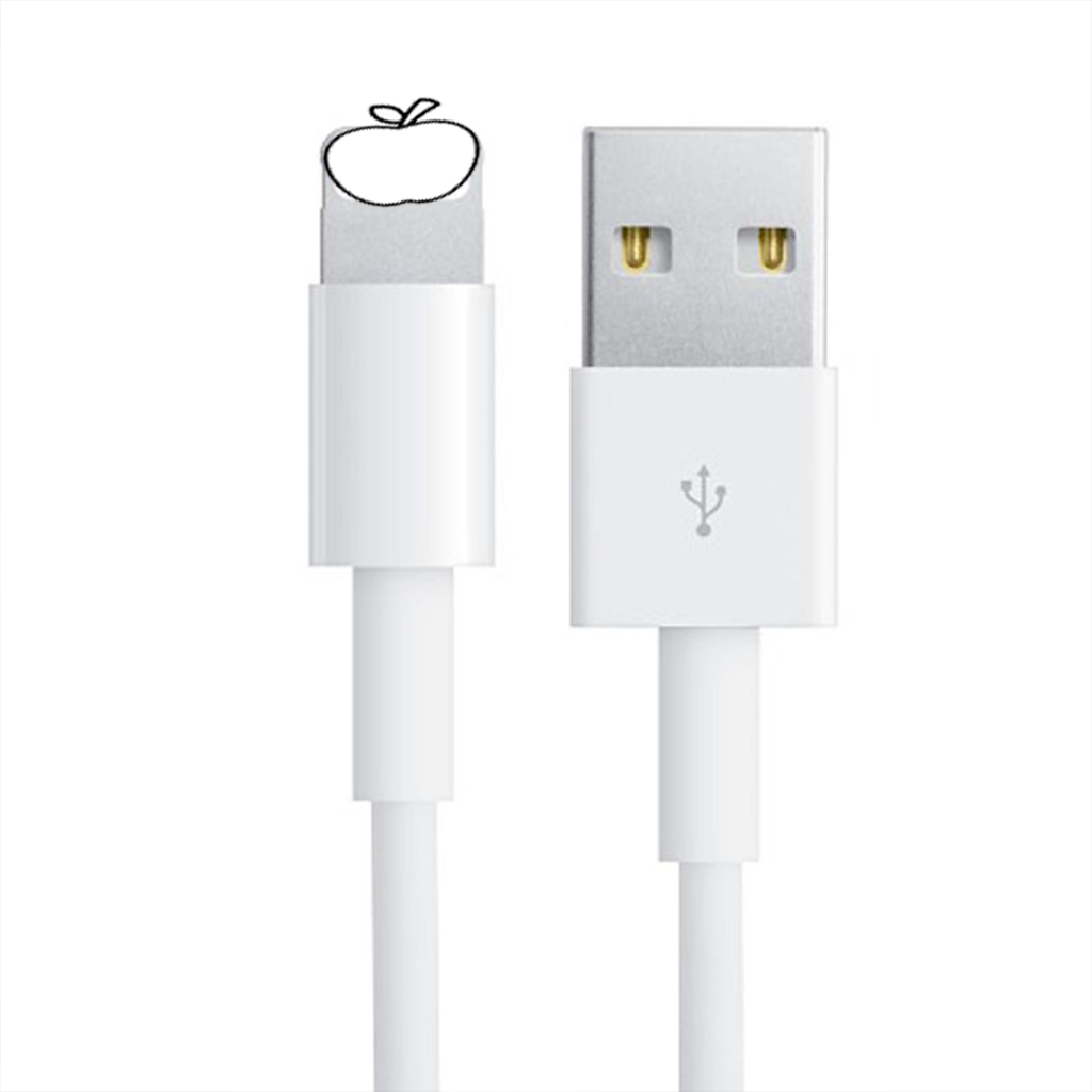 Dây Cáp Sạc Lightning 8iC To USB dây sạc iphone cao cấp hỗ trợ sạc iphone ổng định nguồn 2A