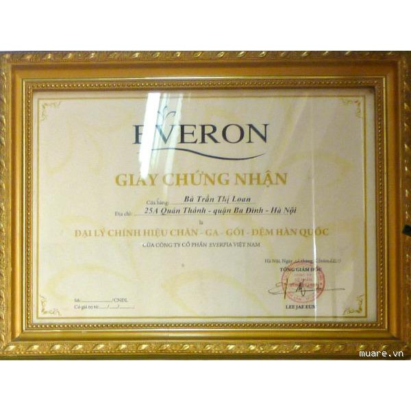 [EVERON] Gối Tựa Tam Giác 2 Size