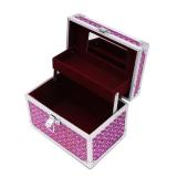 Hộp để đồ trang điểm cá nhân cỡ nhỏ TIGĐ160 (Màu Tím)