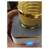 Loa hát Karaoke Di Động Kết hợp Mic + Micro Q7 (Trắng Vàng)