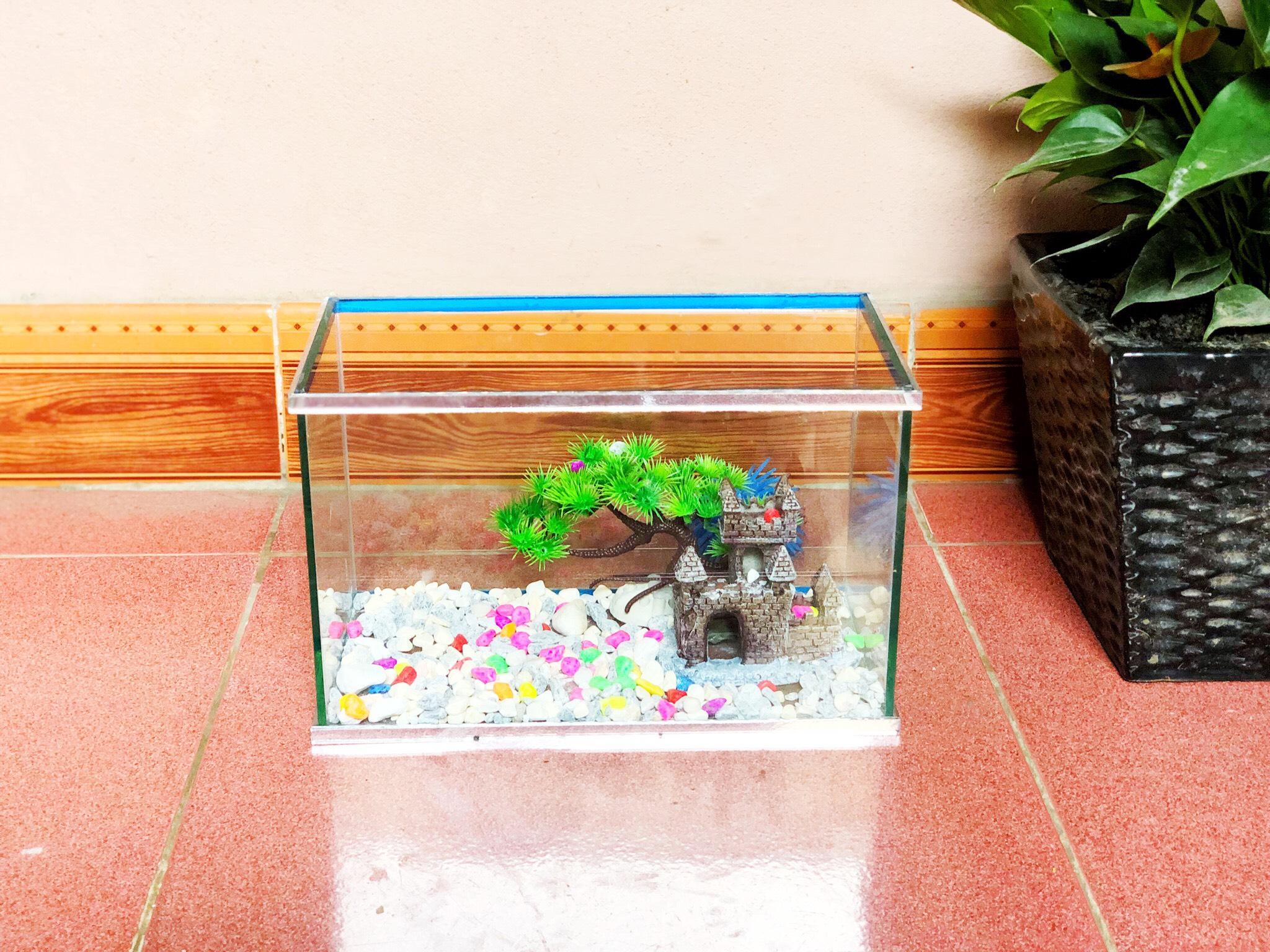 *rbs* Bể cá cảnh viền gương cỡ 30x15x18cm DRC