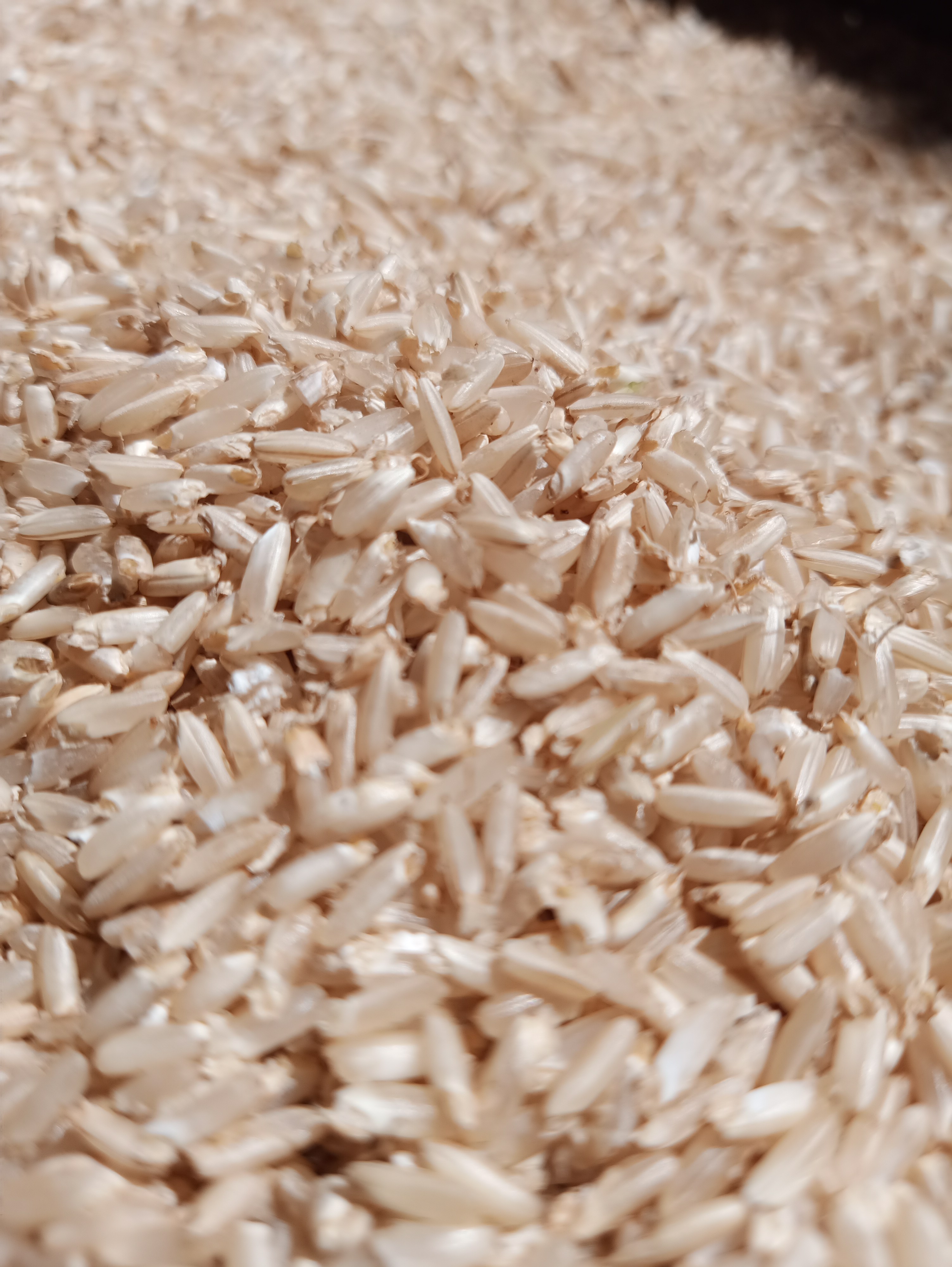 Gạo mầm Kagaba 2 kg