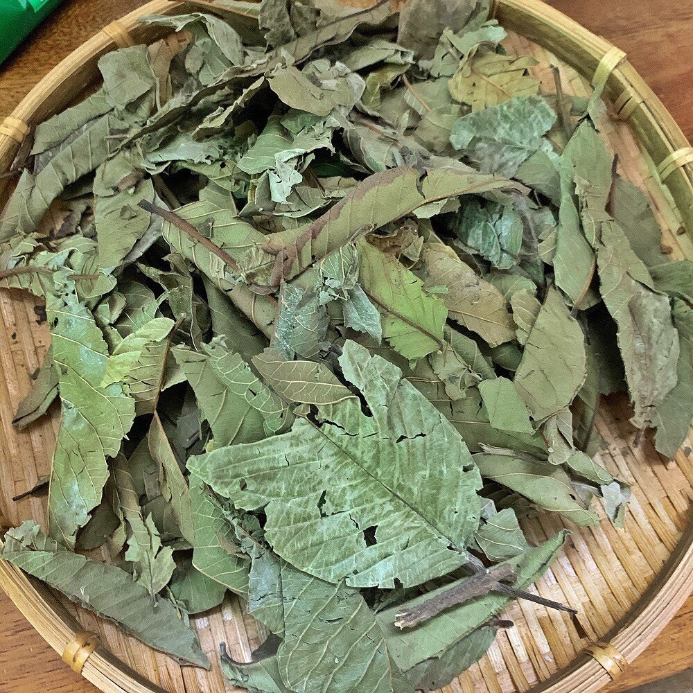 [HCM]1 kg - LÁ ỔI RỪNG KHÔ