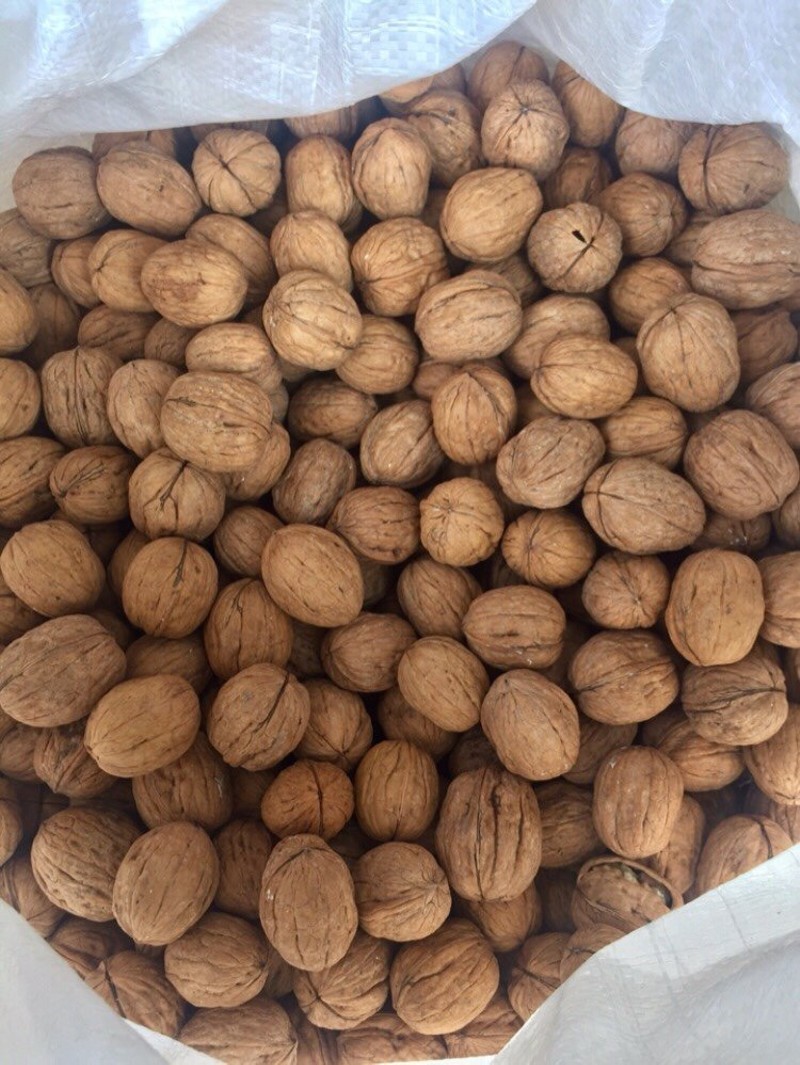 [HCM]Nhân Quả Óc Chó Đỏ Mfood Hũ 250G