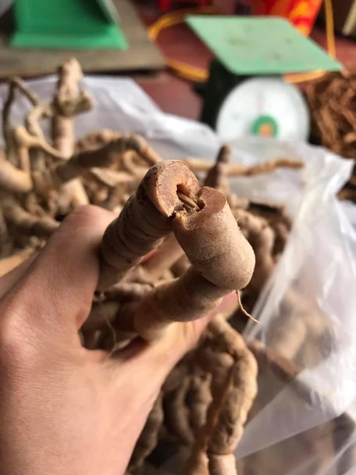 Ba Kích Tím 1KG