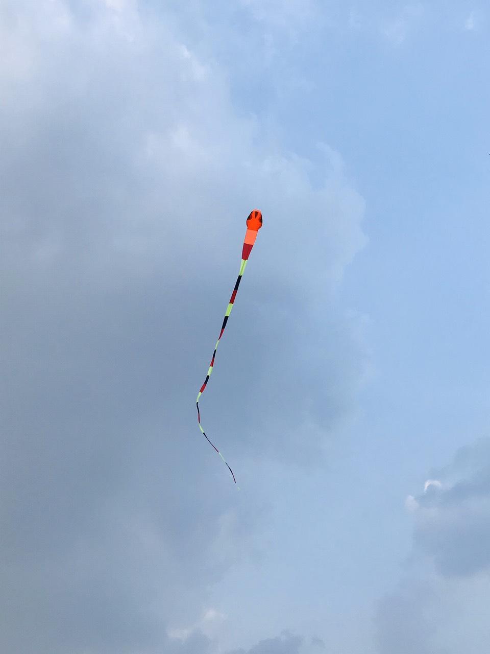 Kites - Diều hình con rắn dài 40m