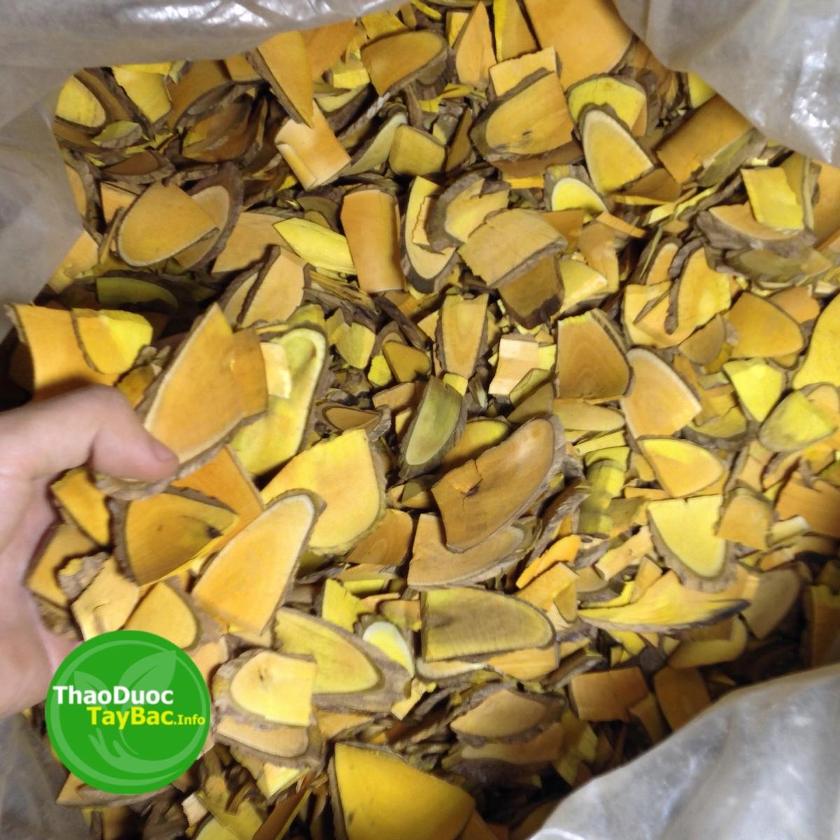 Cây Mật Gấu Làm Đẹp Da