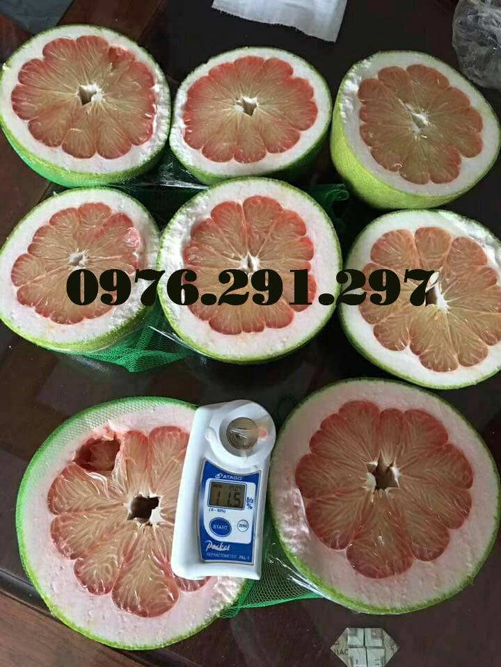 [HCM]Máy đo độ ngọt điện tử Pal 1 Attago - Nhật Bản