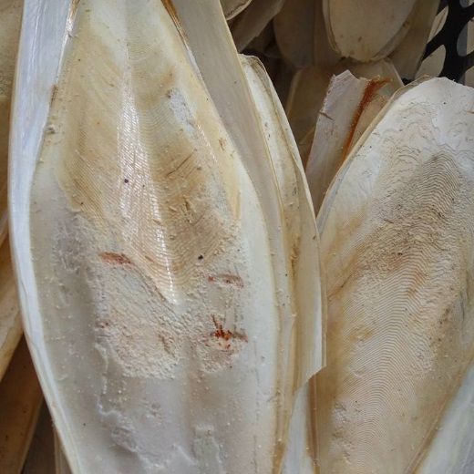 [Hàng công ty mới về] Mai mực (nang mực) khô 500g - Thảo Dược Tấn Phát - Chuyên dùng để sắc nước uống hoặc làm đông sương sa