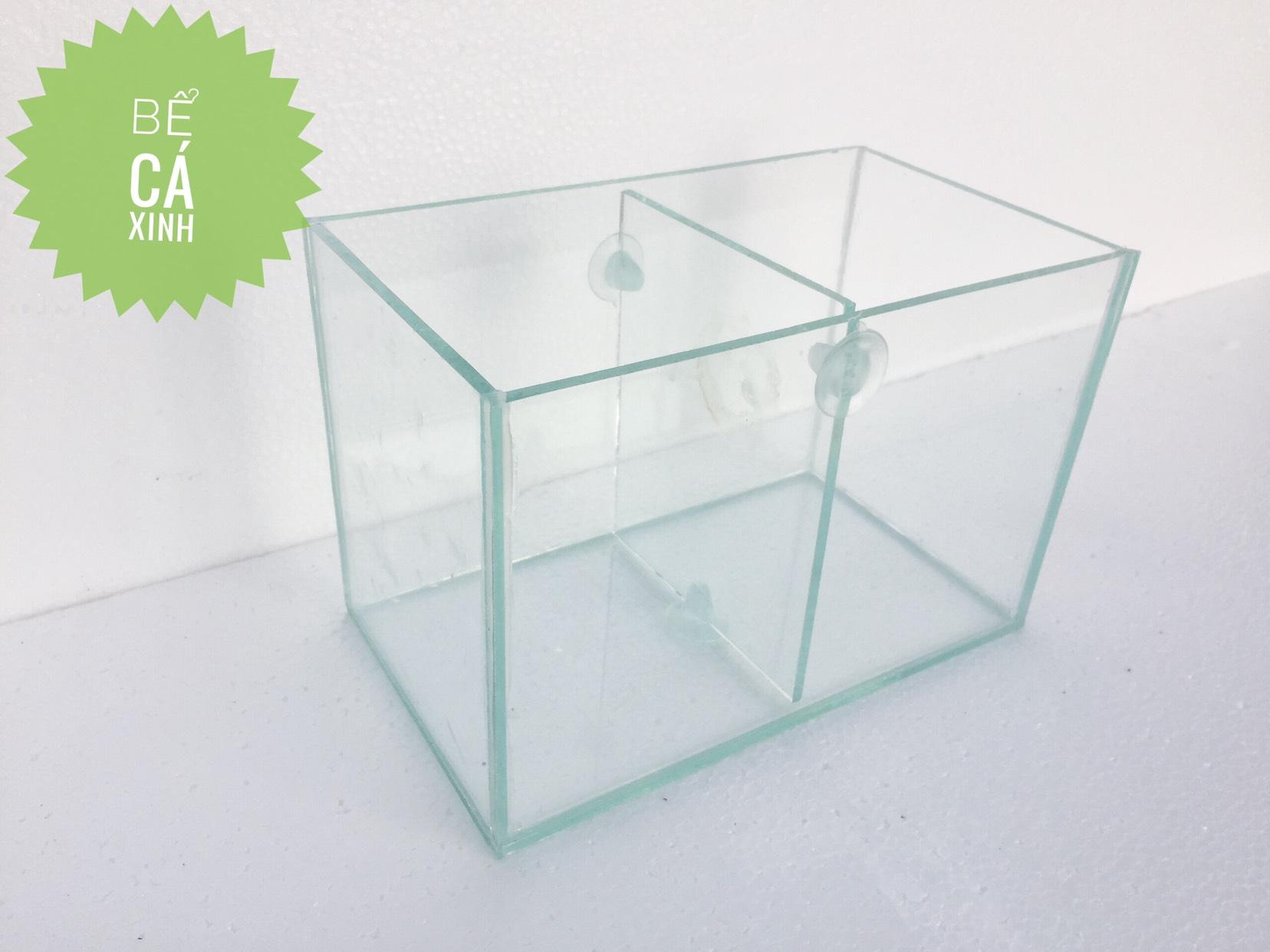 Bể cá beta 2 ngăn - bể cá cảnh mini 2 in 1 ( vách ngăn có thể tháo rời)