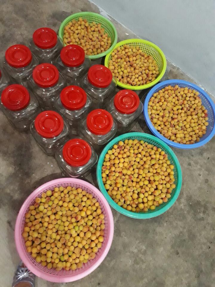 [HCM]MƠ NGÂM ĐƯỜNG HÀ NỘI