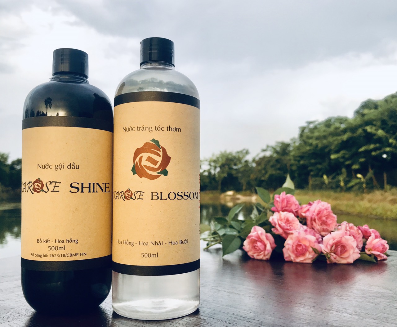 Nước gội đầu Karose Shine