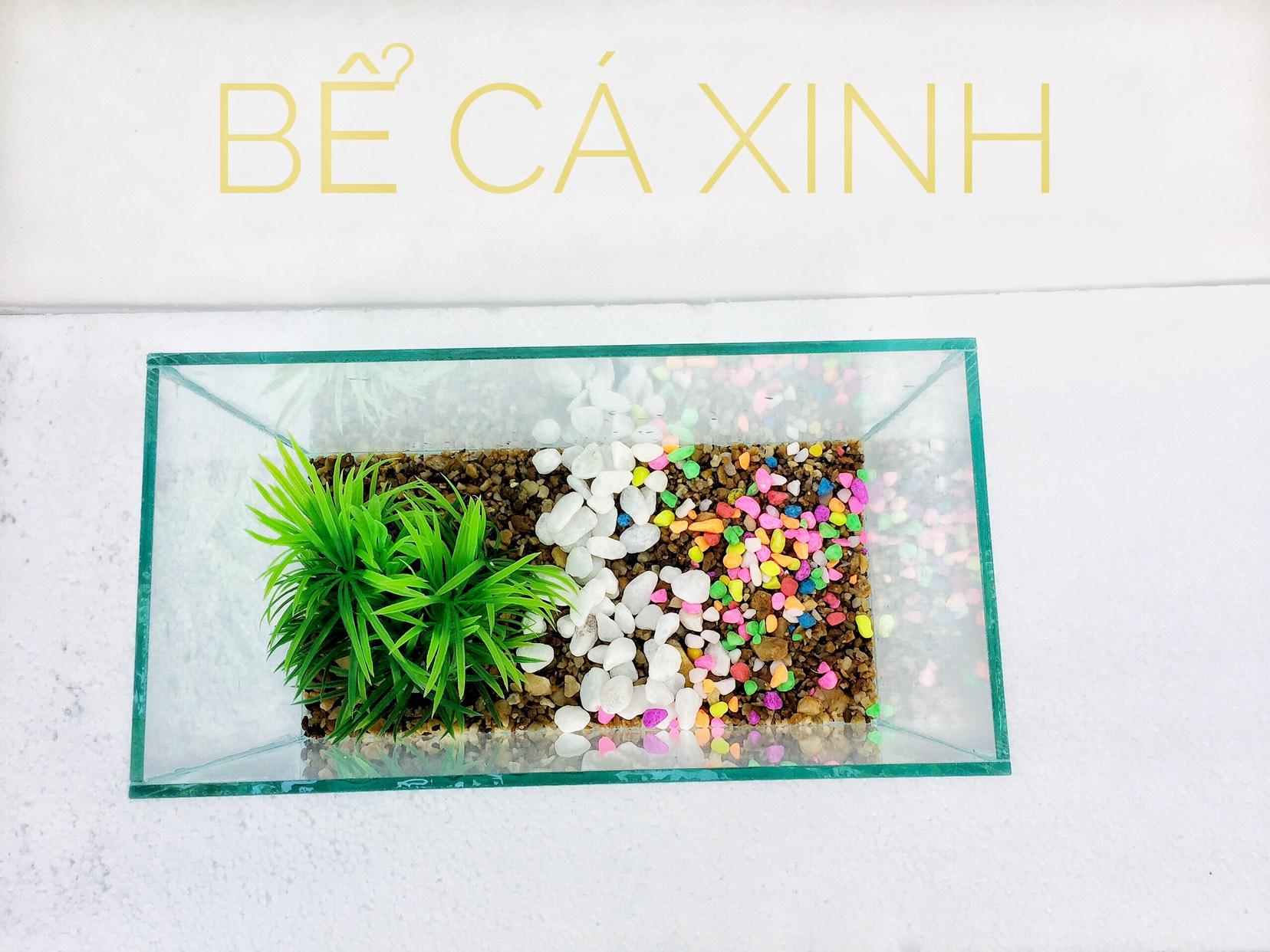 Bể cá mini để bàn size 30x15x18cm