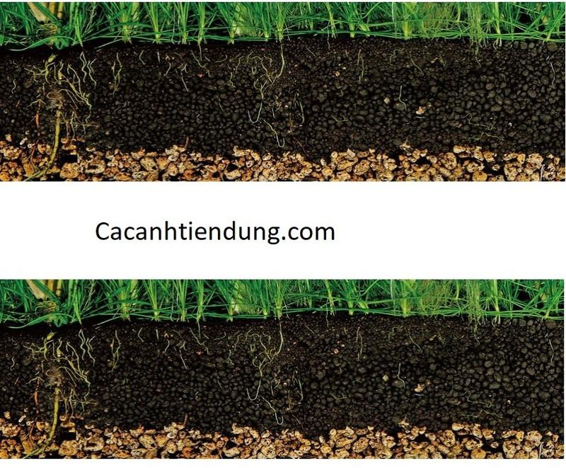 Phân Nền cho cây thủy sinh S MêKông