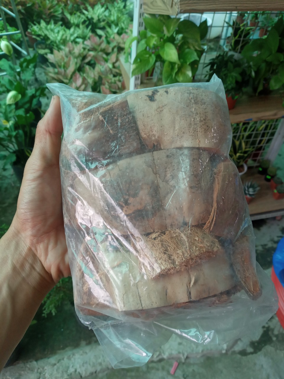 Xơ Dừa Đã Xử Lý Trồng Lan - Túi 200g