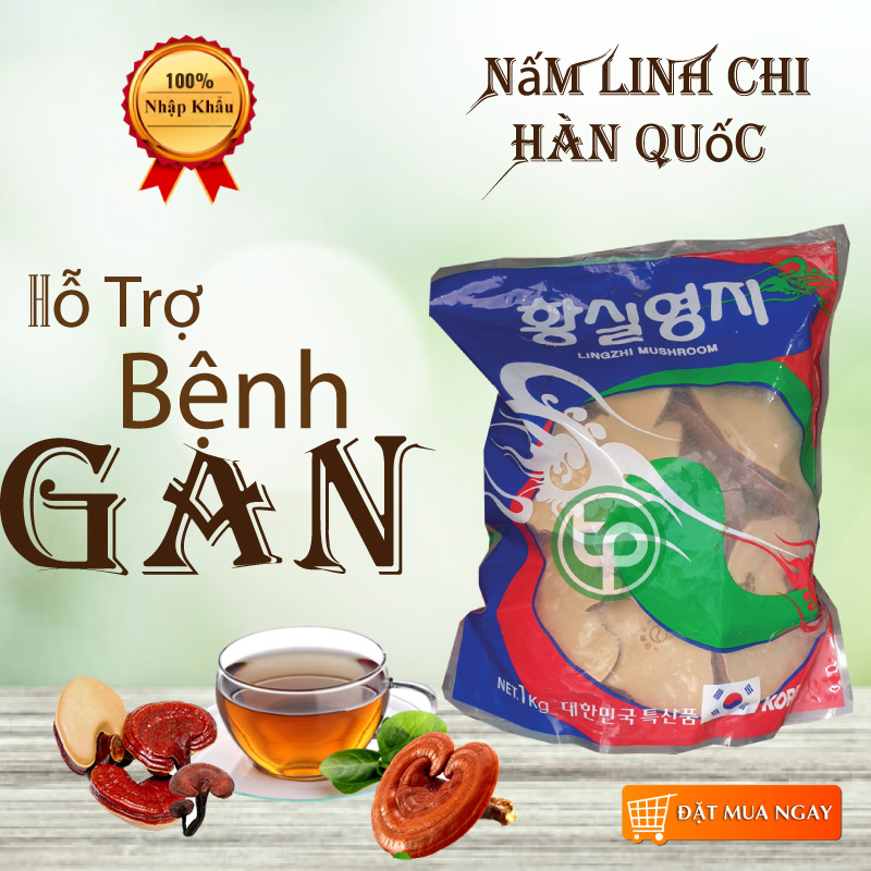 Nấm linh chi Hàn Quốc 1kg loại 1 - tấn phát