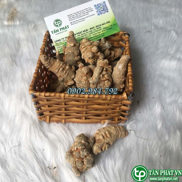 Củ tam thất bắc Khô Cao Cấp 100g Tấn Phát ( Củ To Đều Nhiều Năm Tuổi) - Hàng công ty chất lượng cao