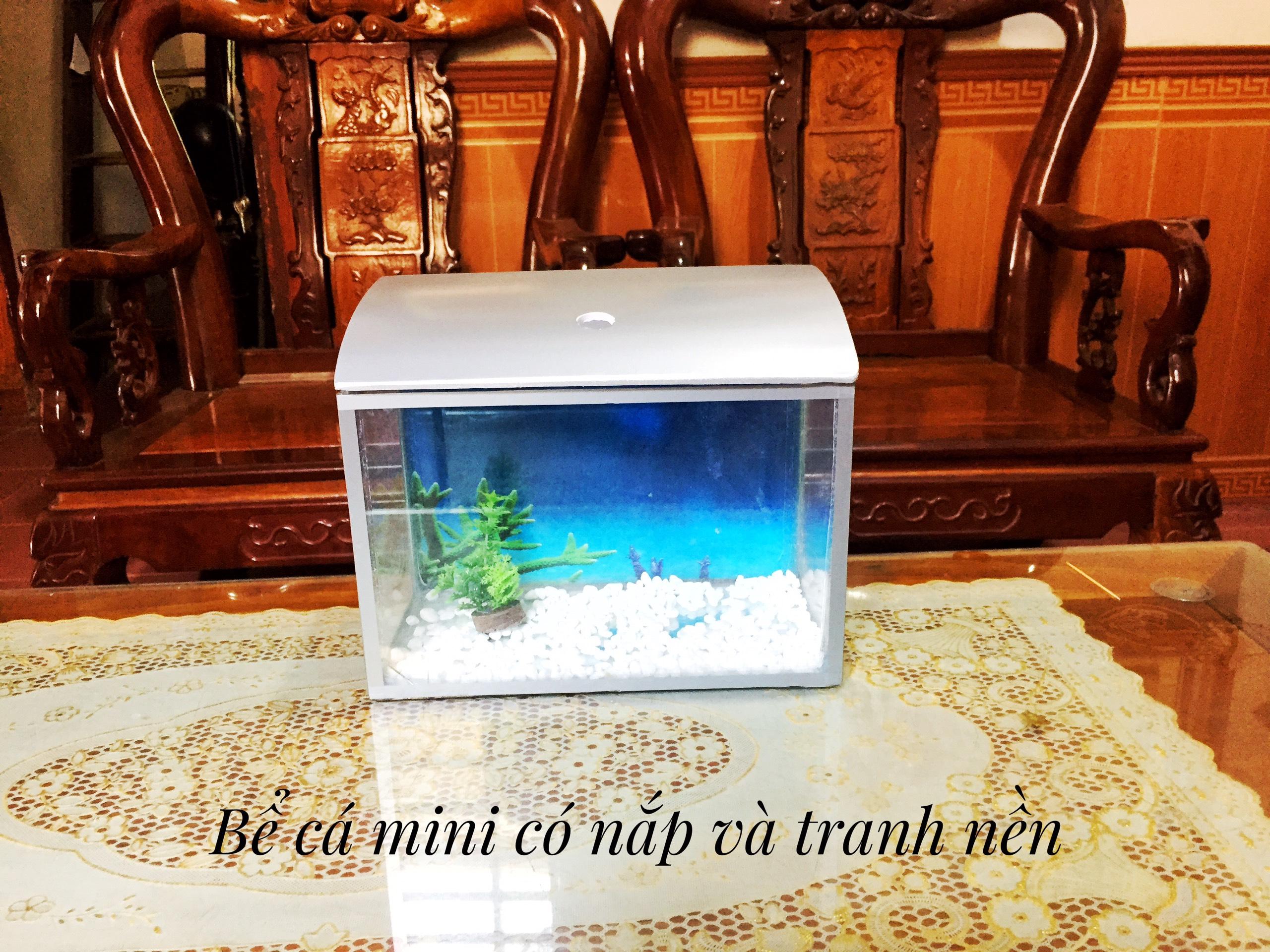 [ SẢN PHẨM HOT ] COMBO BỂ CÁ MINI ĐỂ BÀN ,Hồ cá +cây,sỏi trang trí + thức ăn