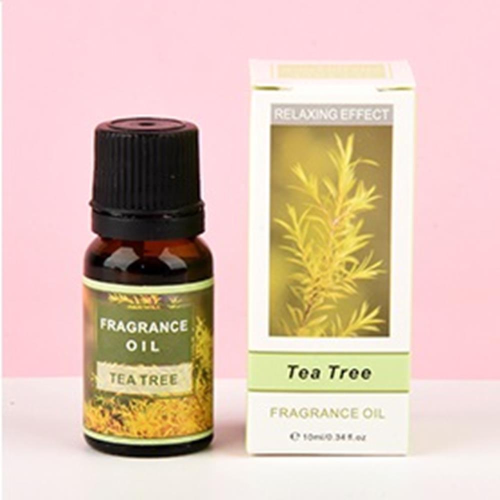 Tinh dầu thiên nhiên Lá Tràm Trà 10ml thơm phòng khử mùi máy phun sương tạo ẩm