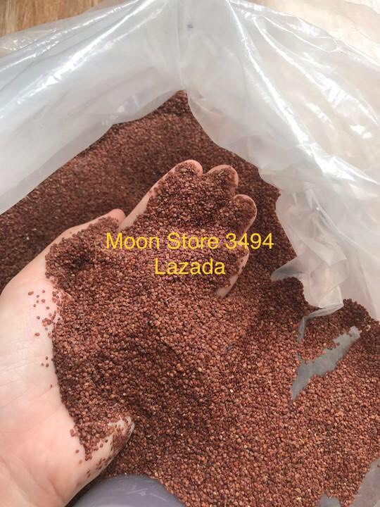 Ngũ hoa hạt - Hạt đình lịch Moon Store 200g hạt lớn