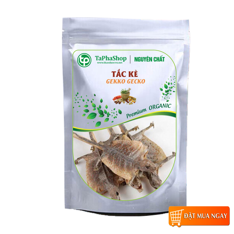 Tắc kè khô ngâm rượu 1 con - tấn phát