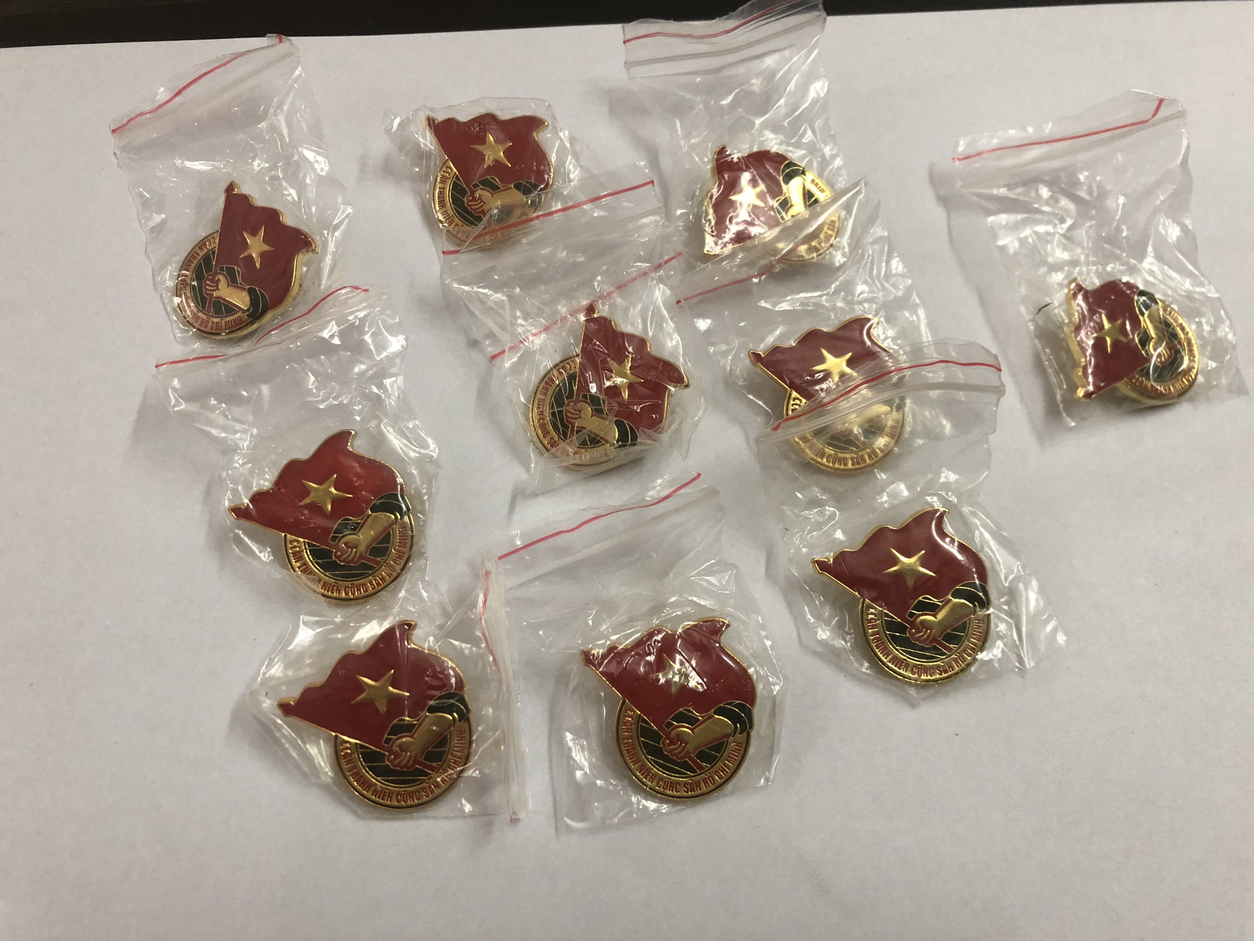 Set 10 huy hiệu đoàn loại tốt