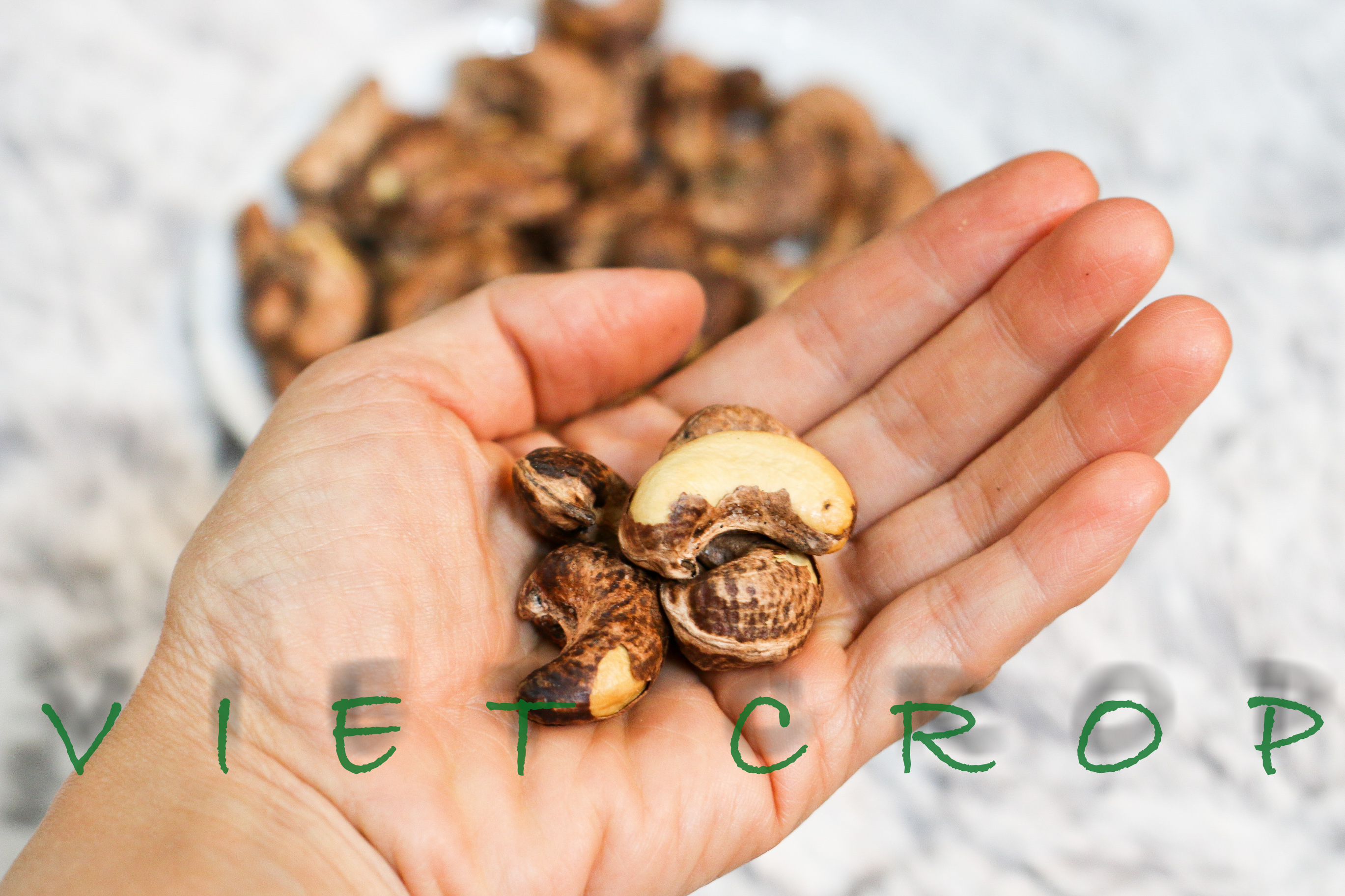Hạt điều vỏ lụa rang muối VIETCROP - hũ 300g