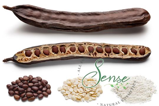 Bột Bồ Kết Gội Đầu Sense - Gói 100g