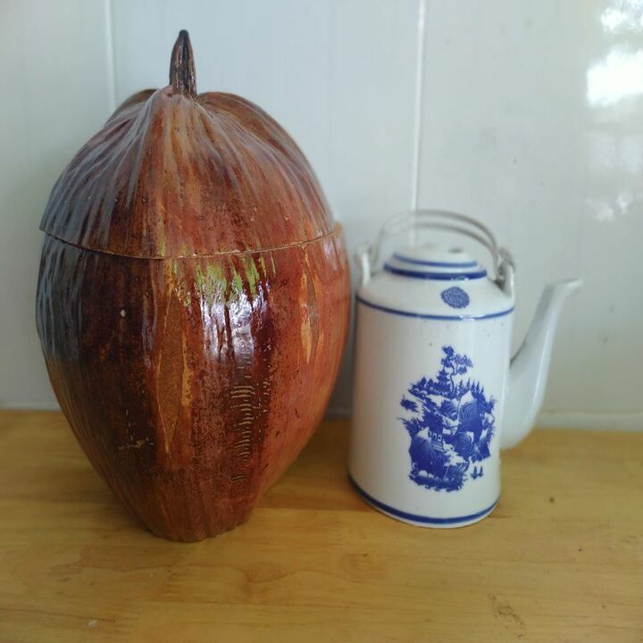 bình giữ nhiệt ấm trà trái dừa và bình trà