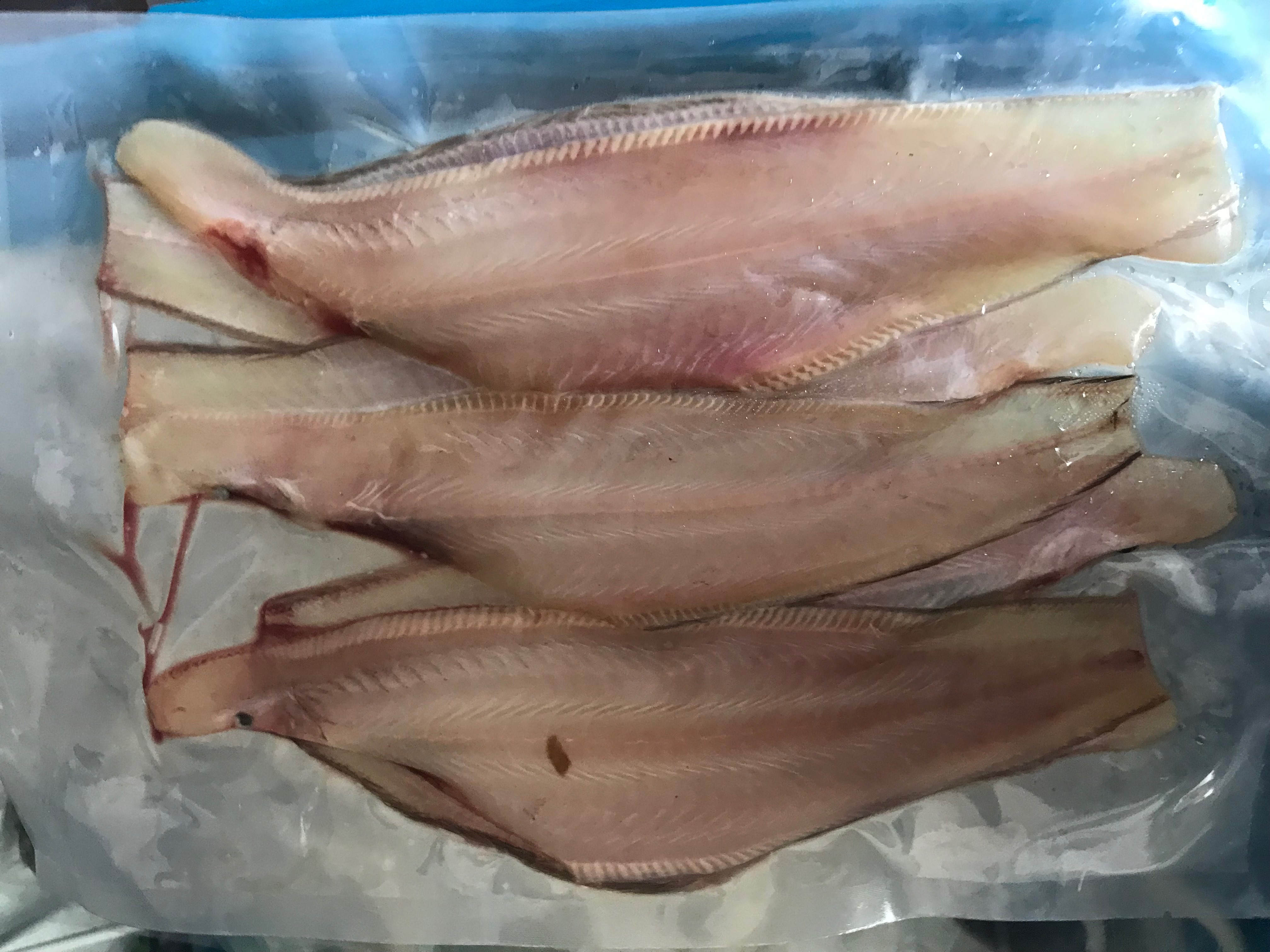 Cá lưỡi trâu 1 nắng biển cần giờ