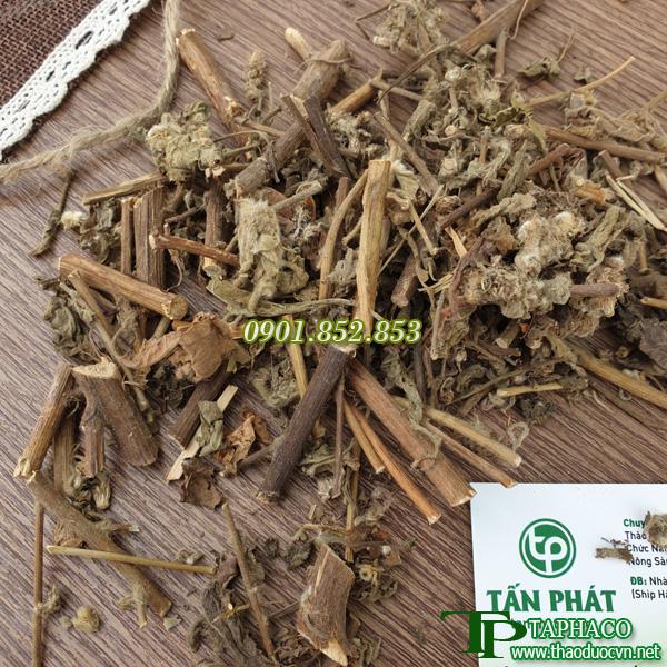 [HOT] Cây cải trời khô 250g
