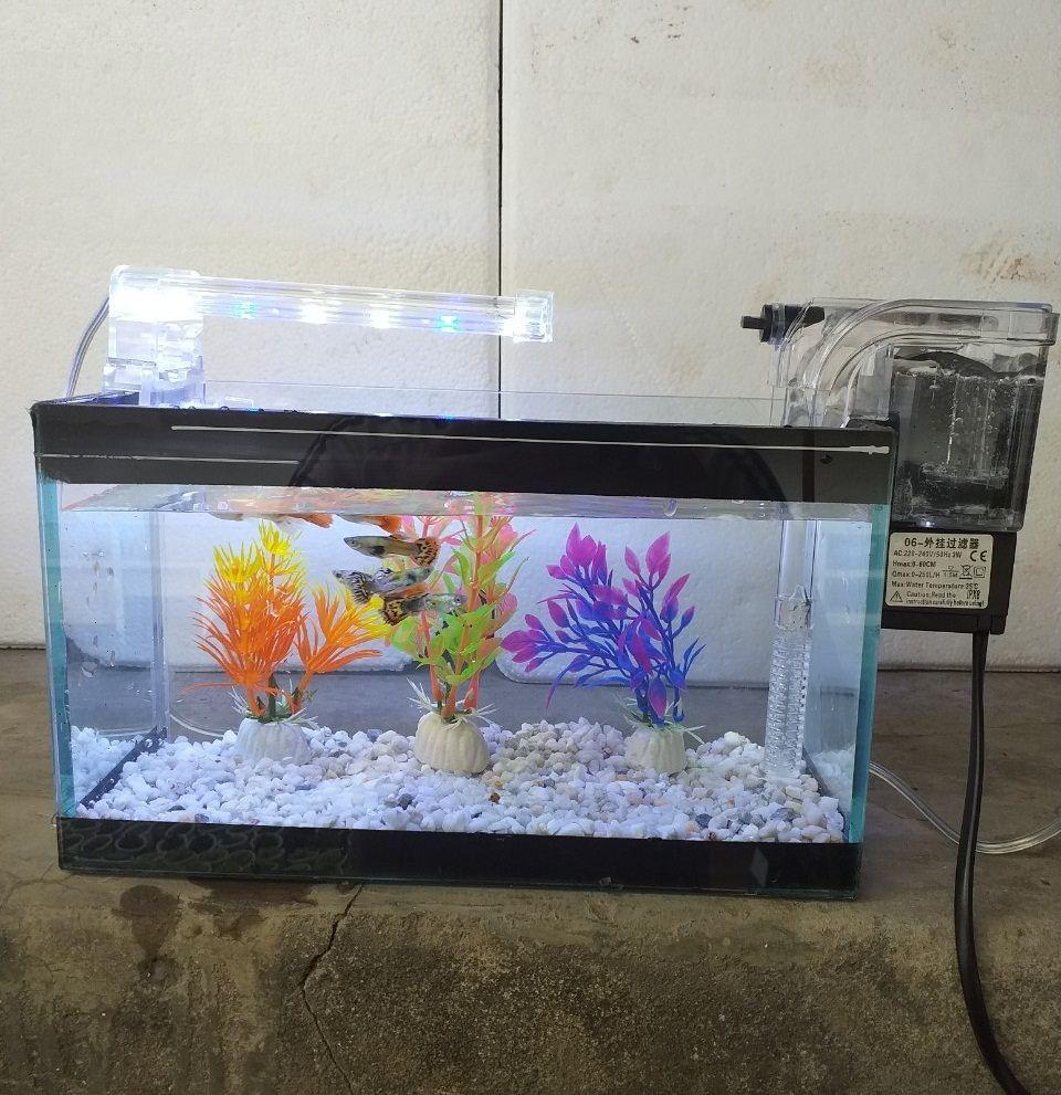 Sứ lọc bể cá - gói 200g