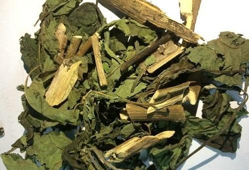 Cây mật gấu nam ( cây lá đắng ) sấy khô 500g