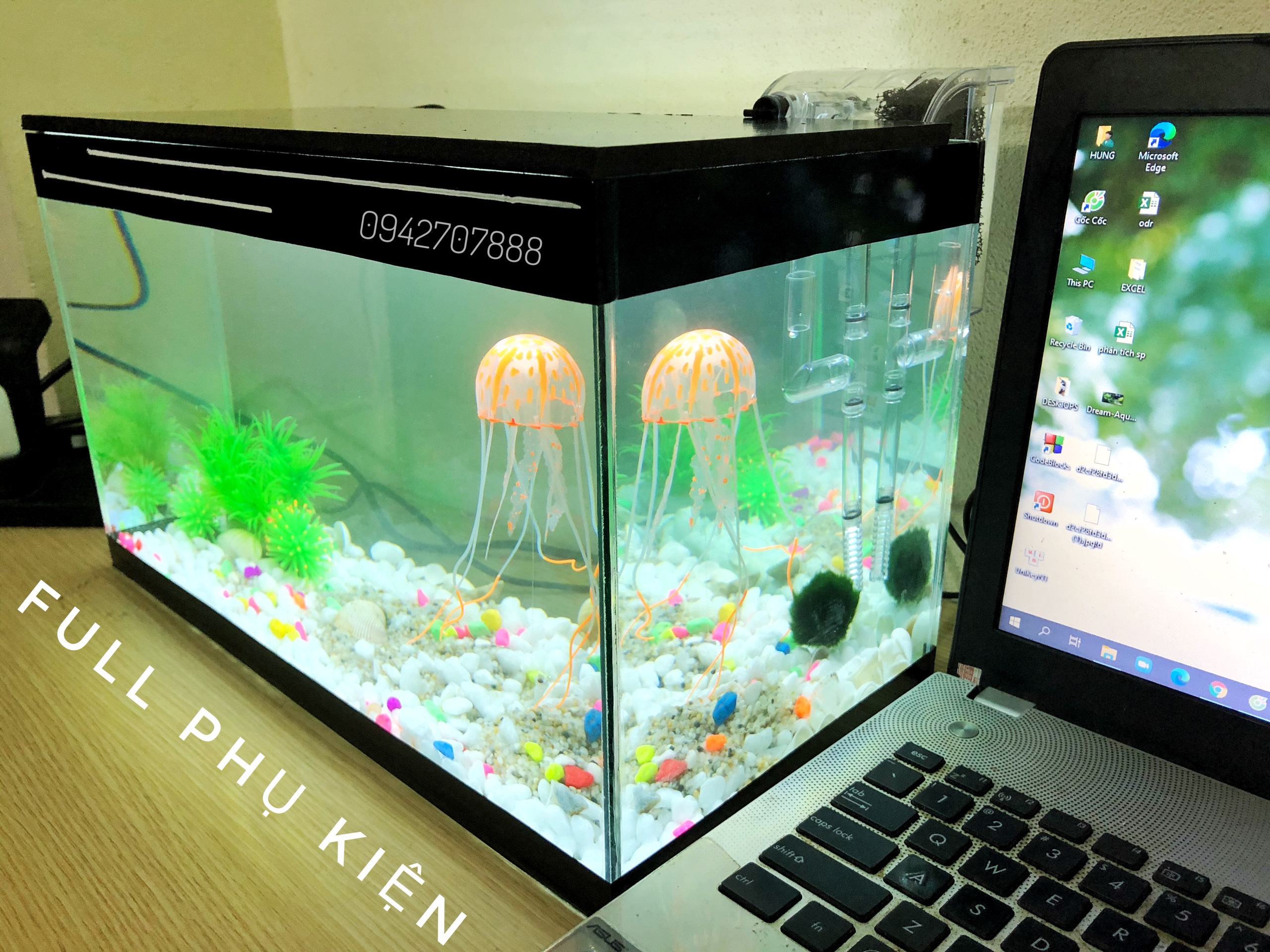FREESHIP Set bể cá mini 40cm nắp đèn led & lọc thác (tặng Sứa Silicon ,tặng cây , sỏi màu, vỏ sò decor, thức ăn cá cảnh)