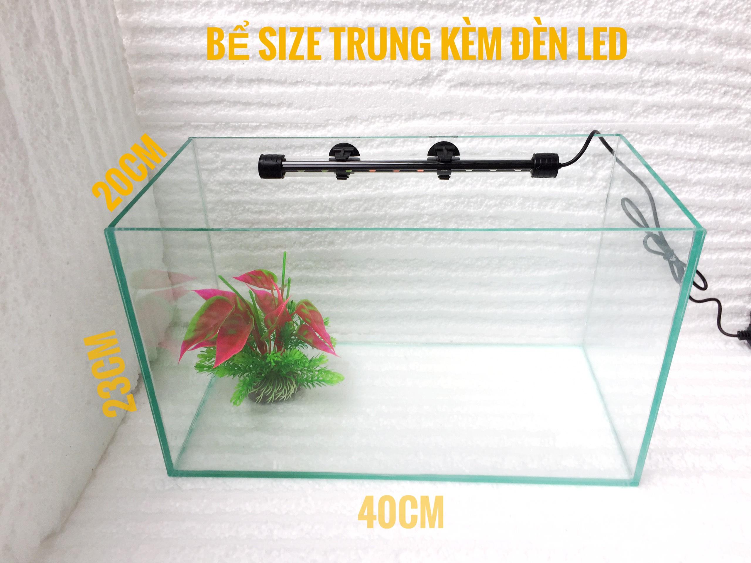 Bể cá size trung 40*20*23 kèm đèn led gắn kính - Hồ cá để bàn trang trí nhà cửa