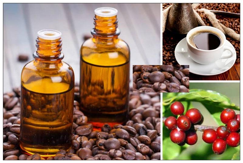 Combo 2 lọ tinh dầu thơm treo xe hương Cafe.