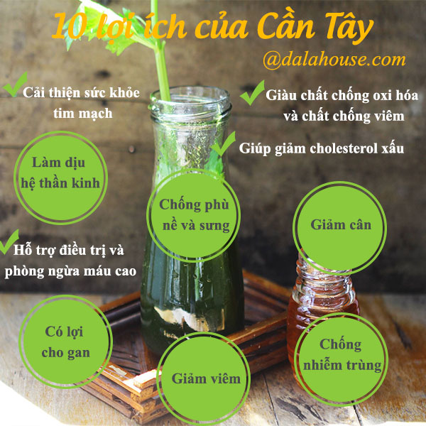 HỘP BỘT CẦN TÂY 150GR- NPP TDT