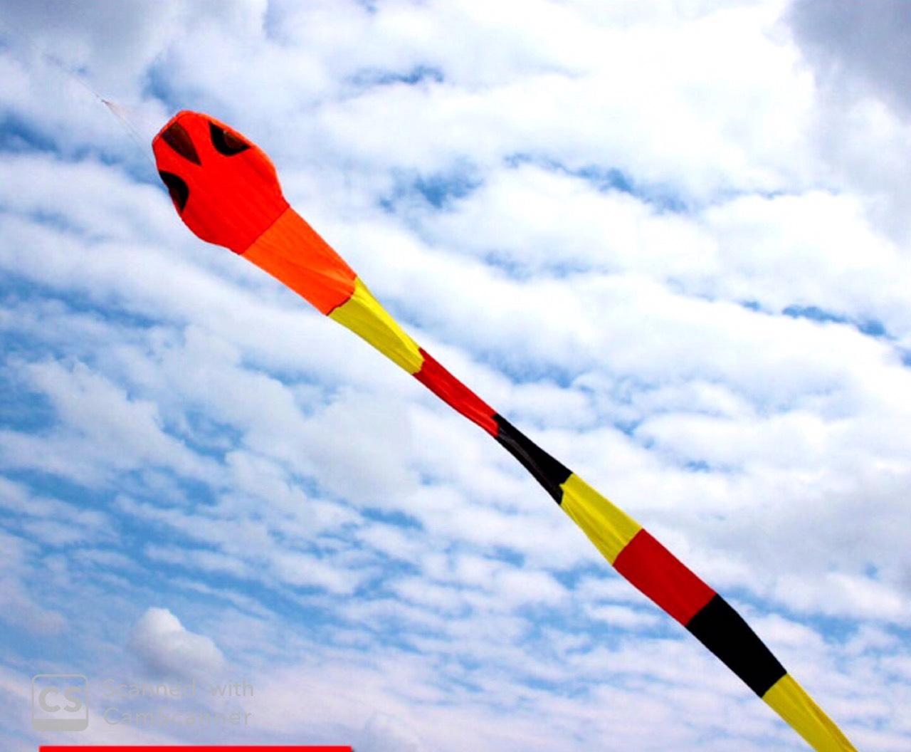 Kites - Diều hình con rắn dài 40m