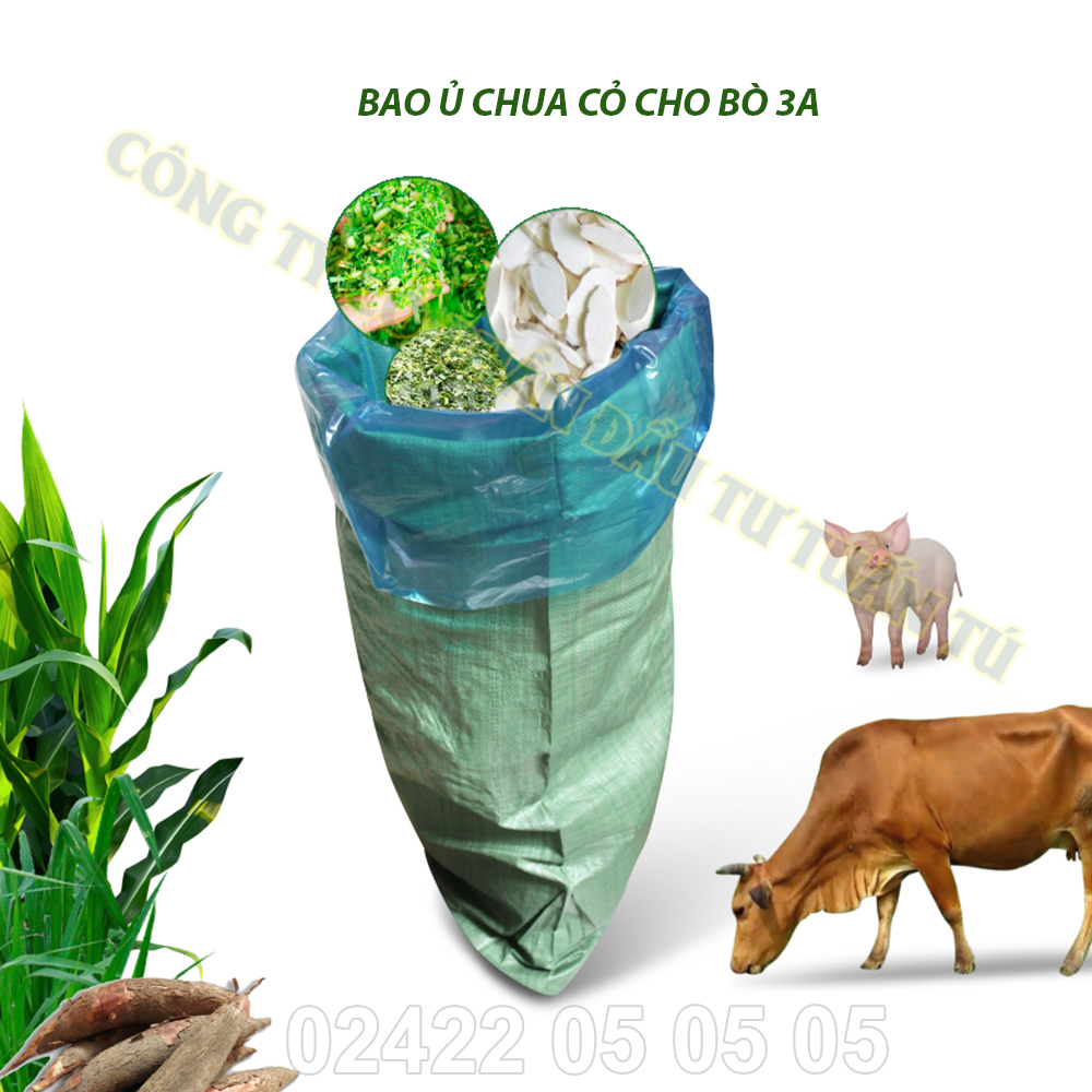 5 Bao ủ chua cỏ cho bò|Túi ủ chua 3A