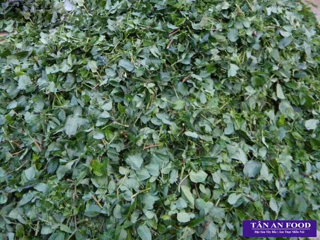 Chè dây Cao Bằng 1kg - Chè dây rừng
