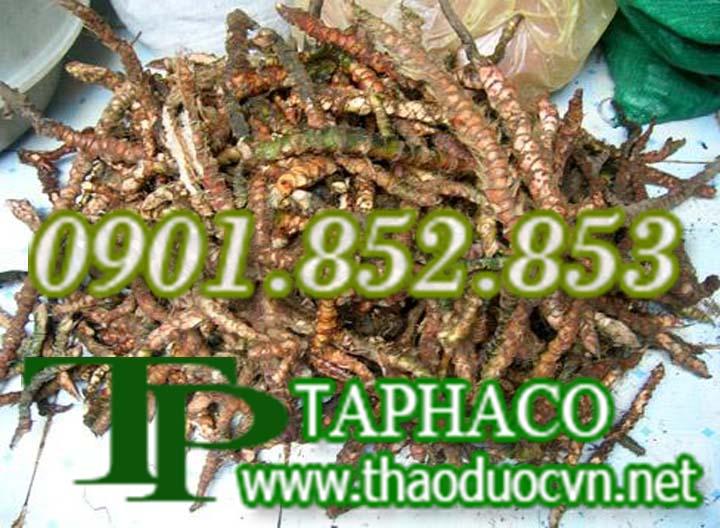 Thạch xương bổ khô 500g - Taphaco